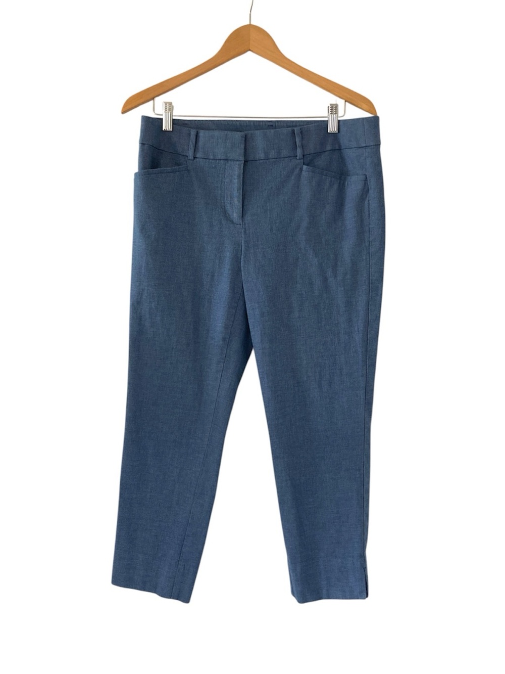 LOFT 8 Blue Cropped Ankle Pants